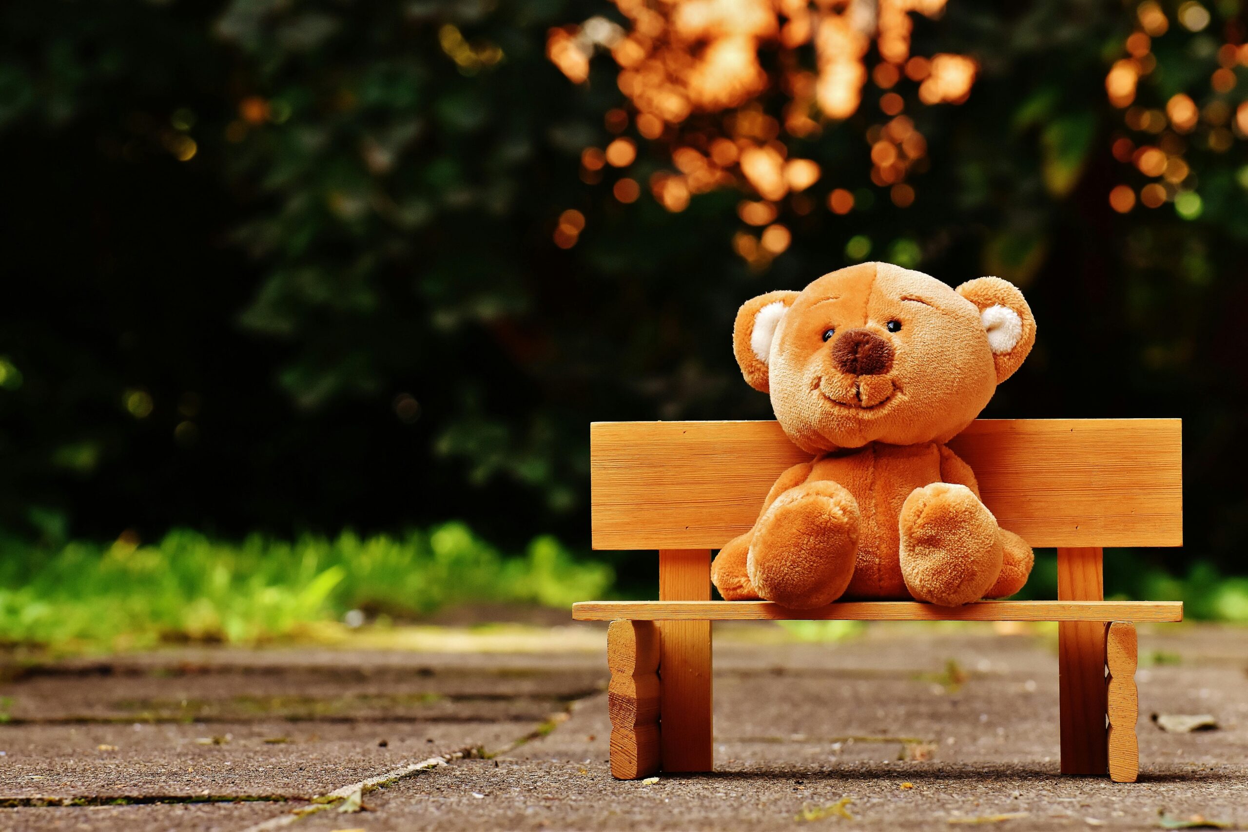 Cute teddy bear sitting on a wooden bench in a sunny, lush garden setting.